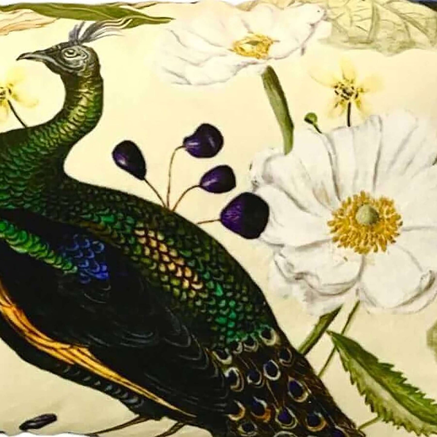 Beige Peacock Velvet Fabric Swatch